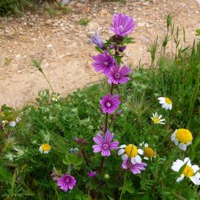 VIII Jornadas Senderistas-104