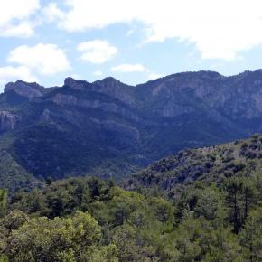 VIII Jornadas Senderistas-111