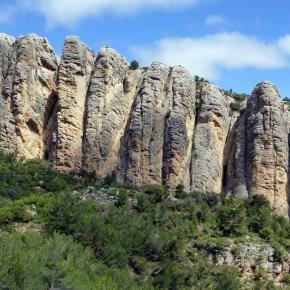 VIII Jornadas Senderistas-113