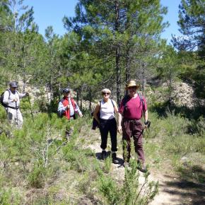 VIII Jornadas Senderistas-117
