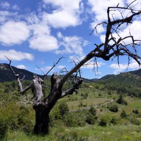 VIII Jornadas Senderistas-123