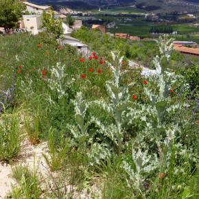 VIII Jornadas Senderistas-125
