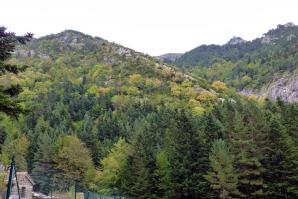 Lizara-Aragues-009