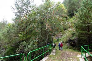 Lizara-Aragues-010