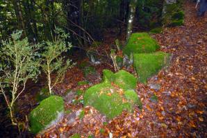 Lizara-Aragues-012