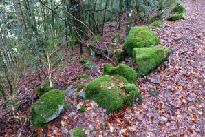 Lizara-Aragues-013