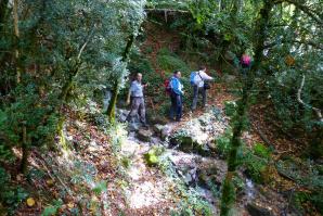 Lizara-Aragues-022