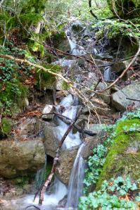 Lizara-Aragues-023