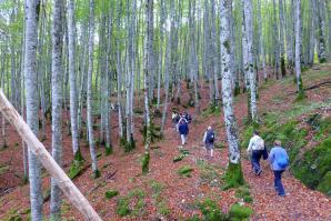 Selva de Irati-013