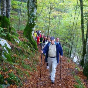 Selva de Irati, Navarra
