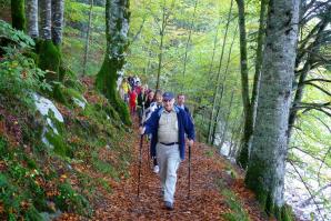Selva de Irati, Navarra