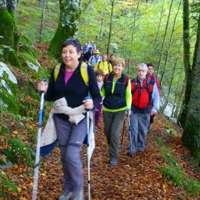 Selva de Irati, Navarra
