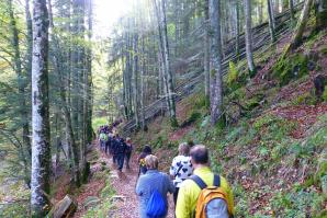 Selva de Irati, Navarra