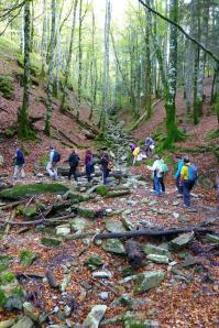 Selva de Irati, Navarra