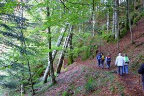 Selva de Irati-034