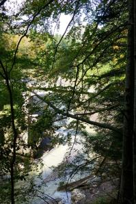 Selva de Irati-035