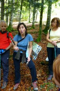 Selva de Irati-039