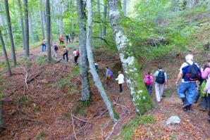 Selva de Irati-040