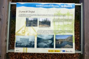 Río Duero, Soria