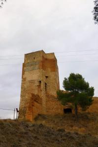 P1020663