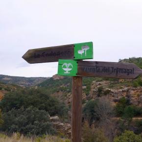 Monasterio del Olivar-004