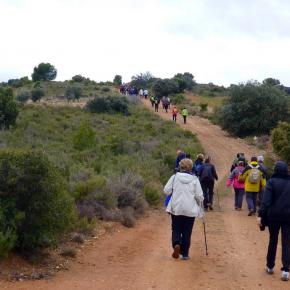 Monasterio del Olivar-009