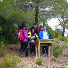 Monasterio del Olivar-012