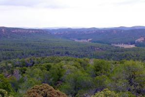 Monasterio del Olivar-014