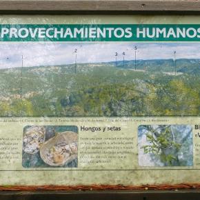 Monasterio del Olivar-015