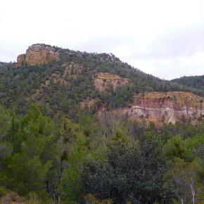 Monasterio del Olivar-017