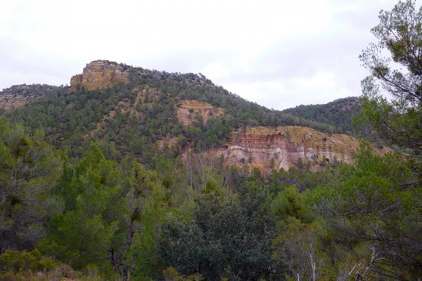 Monasterio del Olivar-017