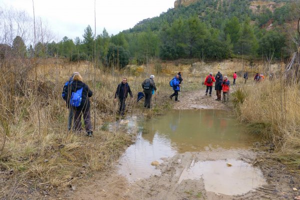Monasterio del Olivar-018