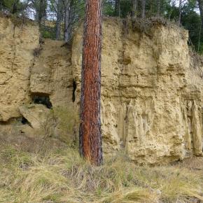 Monasterio del Olivar-019