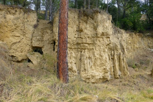 Monasterio del Olivar-019