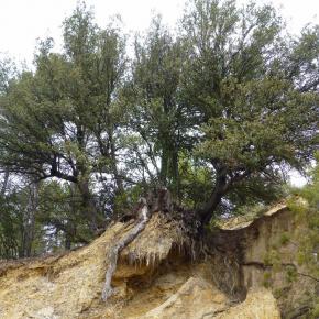 20140301 Monasterio del Olivar (Estercuel)