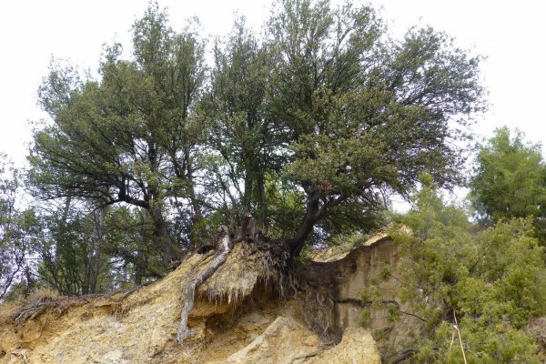 Monasterio del Olivar-020