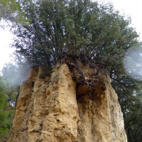 Monasterio del Olivar-021