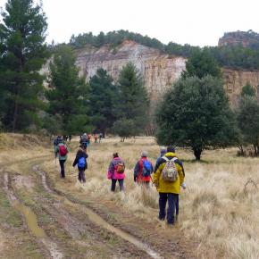 Monasterio del Olivar-022