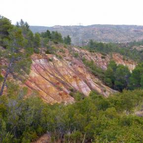 Monasterio del Olivar-029