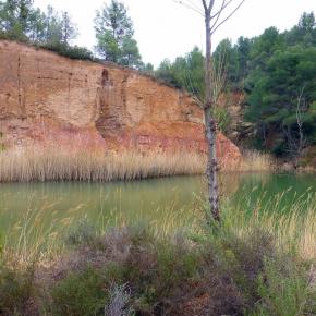 Monasterio del Olivar-030