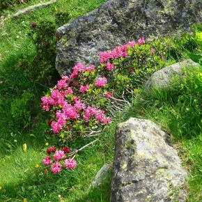 Forau Aigualluts-013