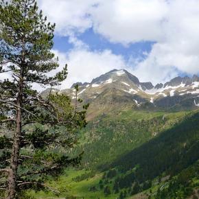 Forau Aigualluts-015