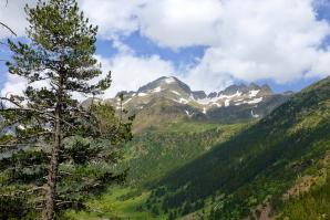 Forau Aigualluts-015