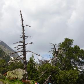 Forau Aigualluts-038