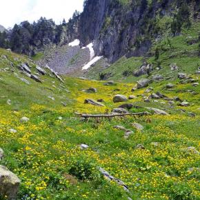 Forau Aigualluts-046