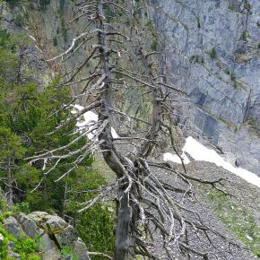 Forau Aigualluts-051