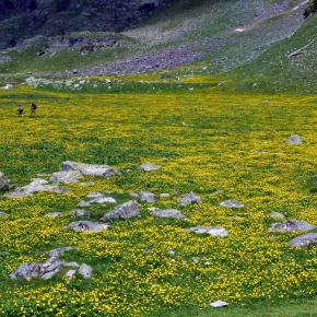 Forau Aigualluts-061