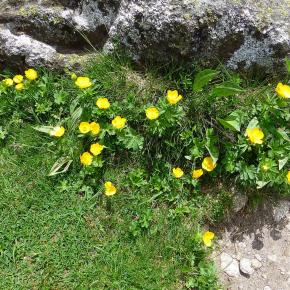 Aigualluts, Benasque