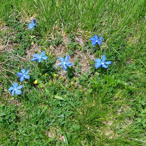 Aigualluts, Benasque