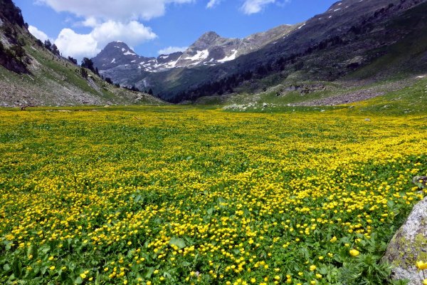 Forau Aigualluts-074